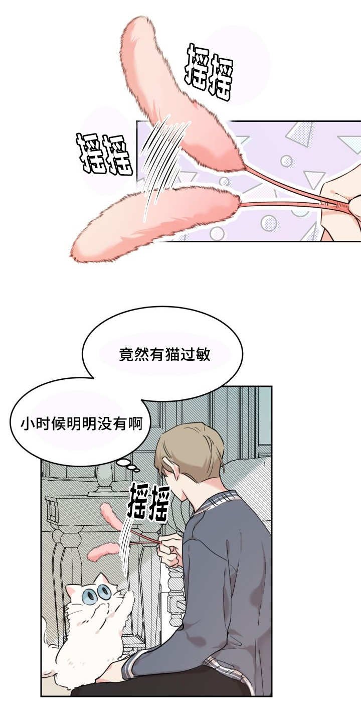 第25章：新的猫咪