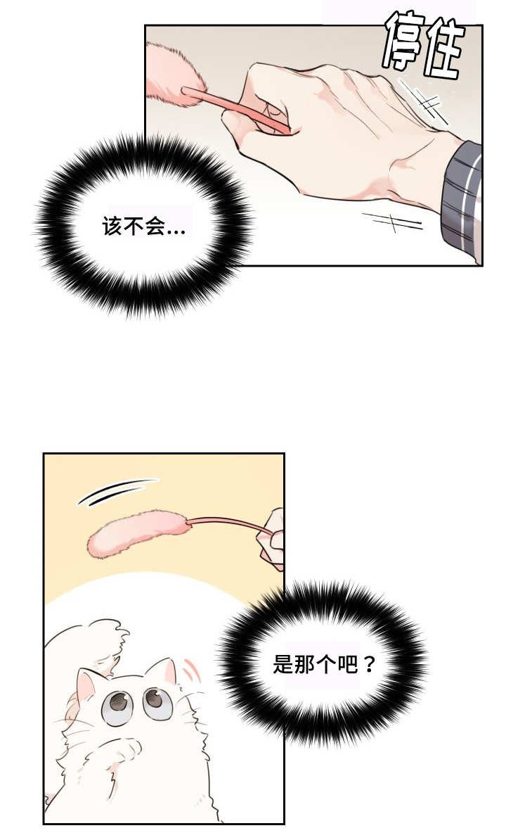 第25章：新的猫咪