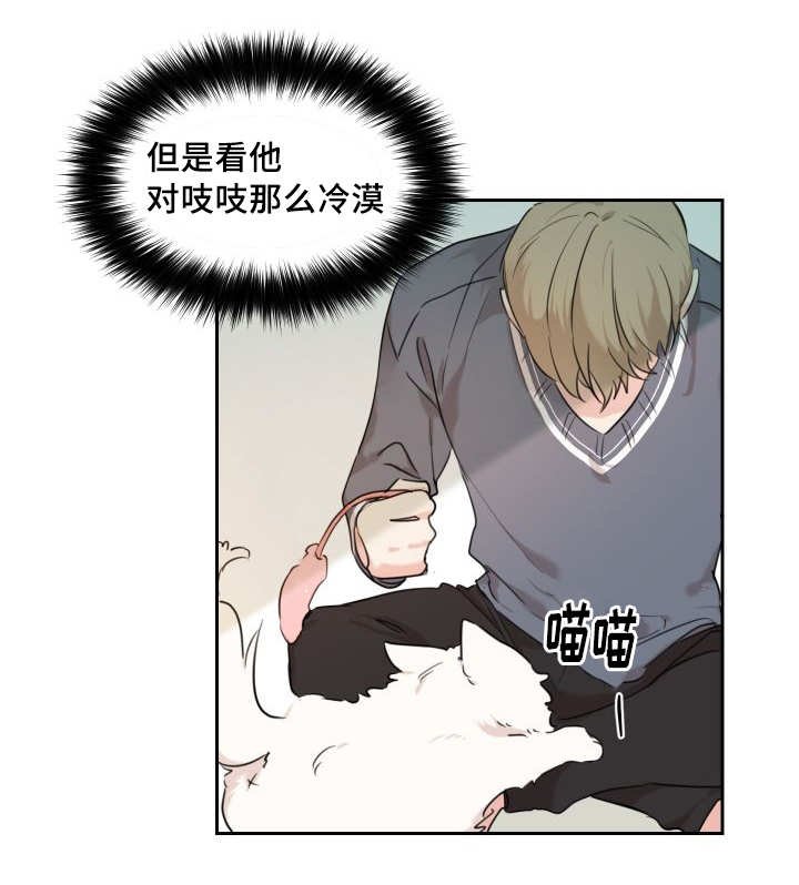 第25章：新的猫咪