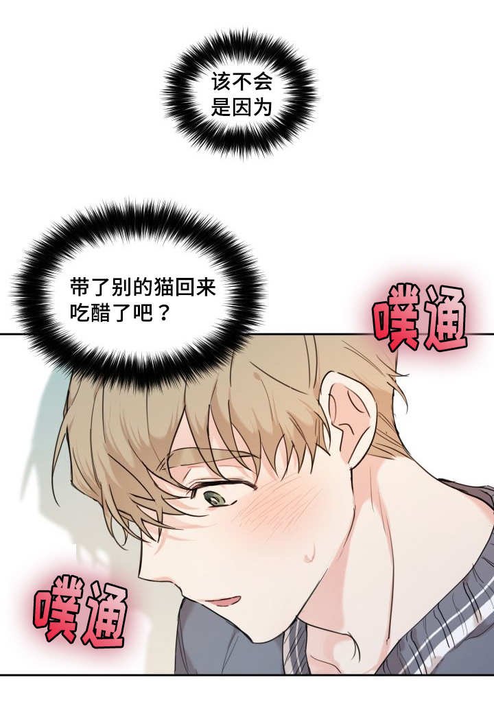 第25章：新的猫咪