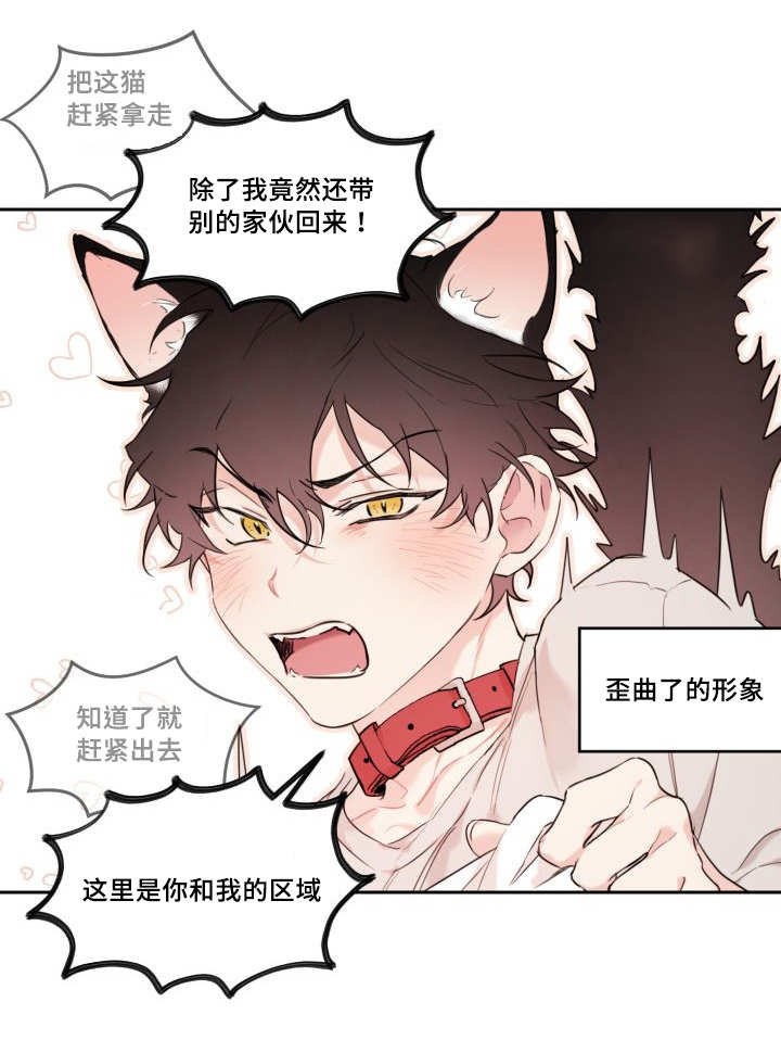 第26章：生气了吗
