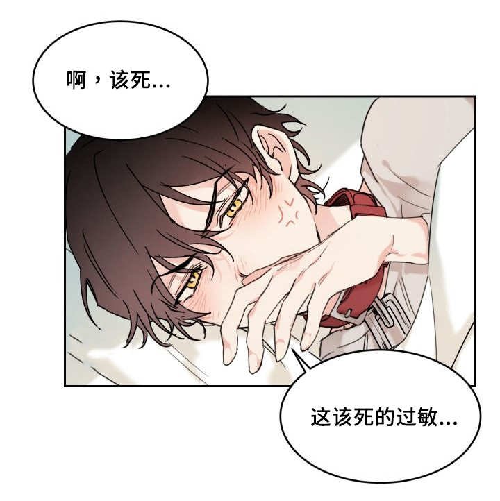 第26章：生气了吗