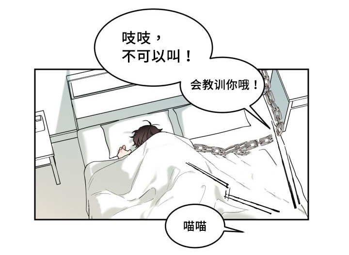 第26章：生气了吗