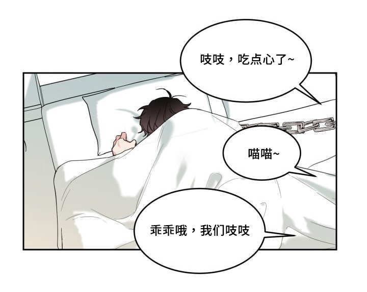第26章：生气了吗