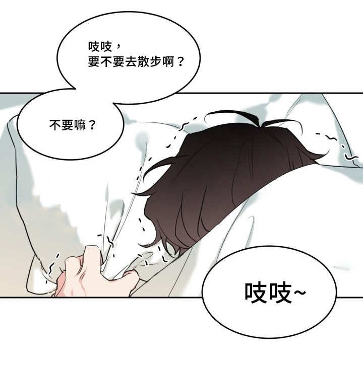 第26章：生气了吗