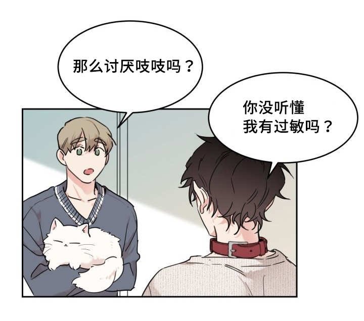 第26章：生气了吗