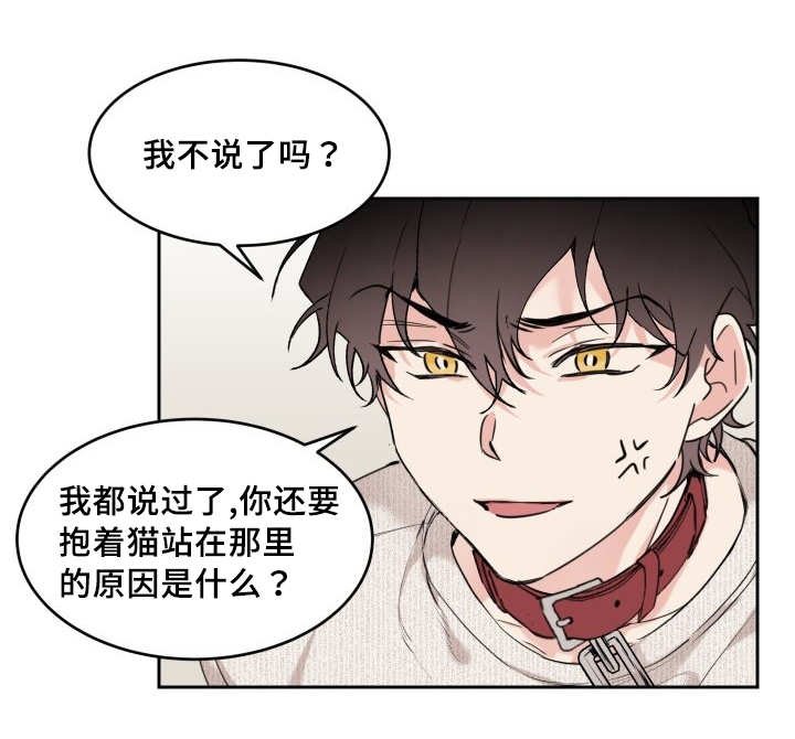 第26章：生气了吗