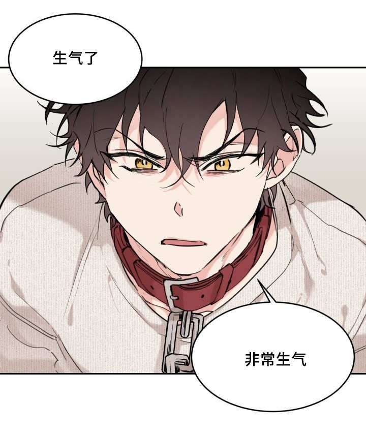 第26章：生气了吗