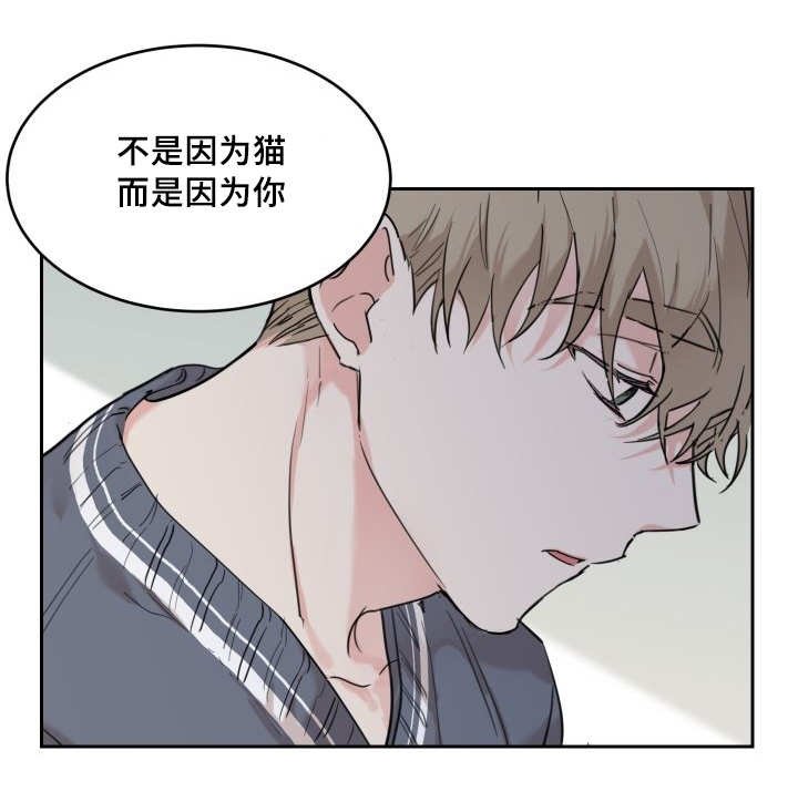 第26章：生气了吗