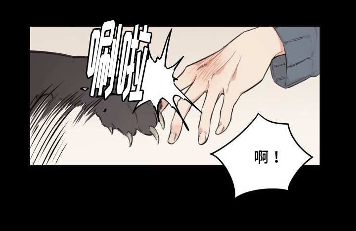 第26章：生气了吗