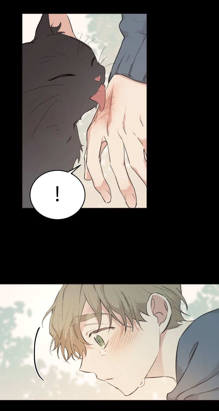 第26章：生气了吗