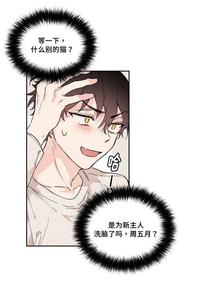 第28章：我能走了吗
