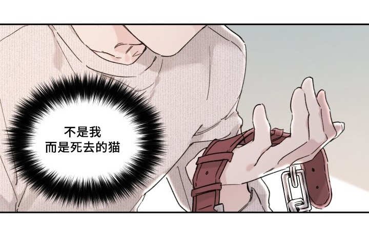 第28章：我能走了吗