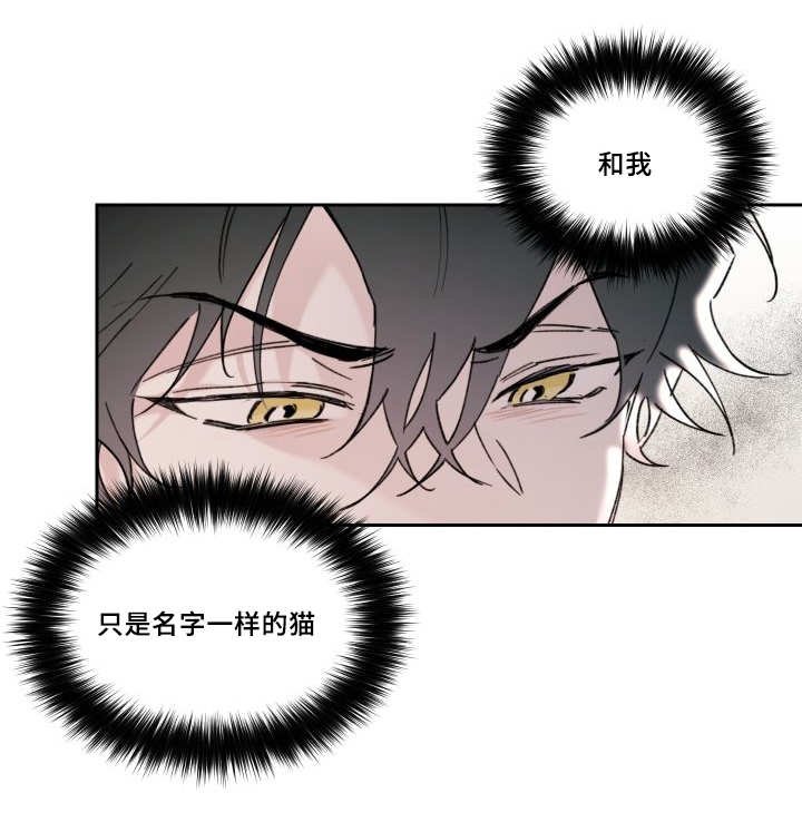 第28章：我能走了吗