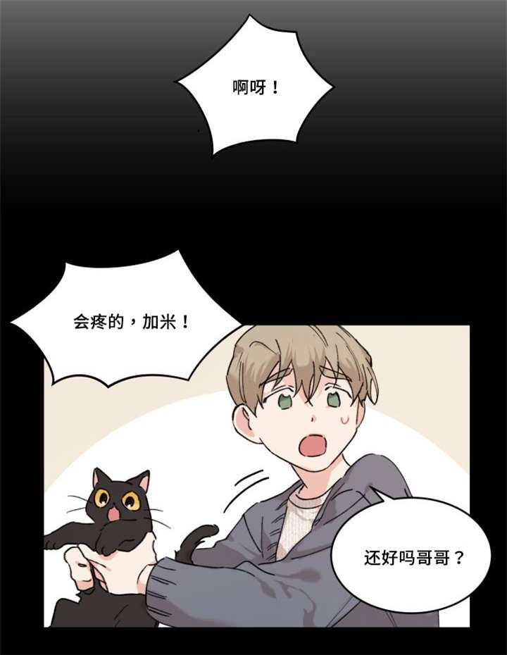 第28章：我能走了吗