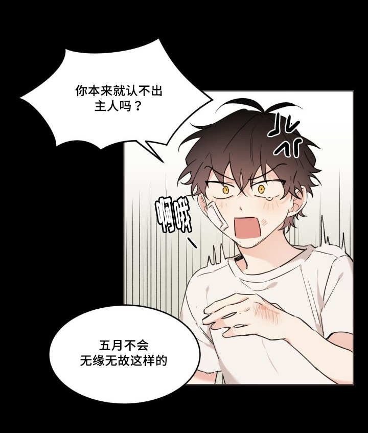 第28章：我能走了吗