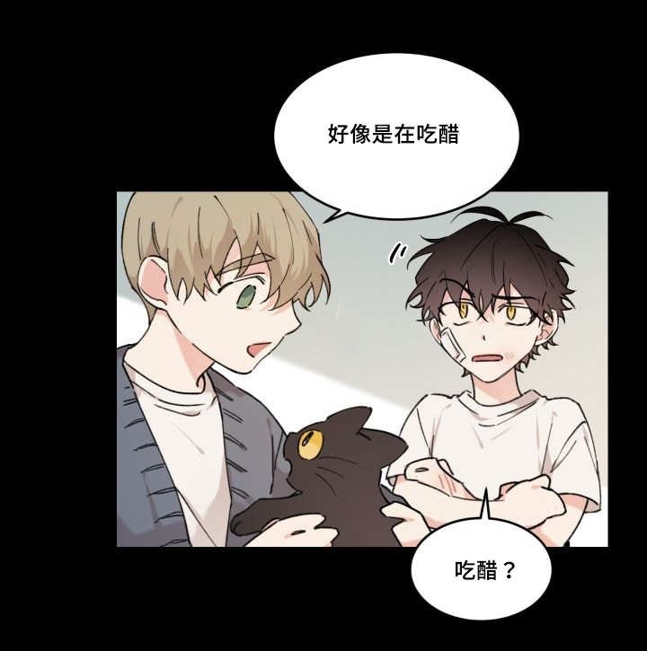 第28章：我能走了吗