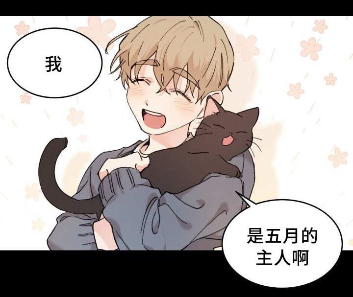 第28章：我能走了吗
