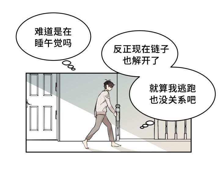 第28章：我能走了吗