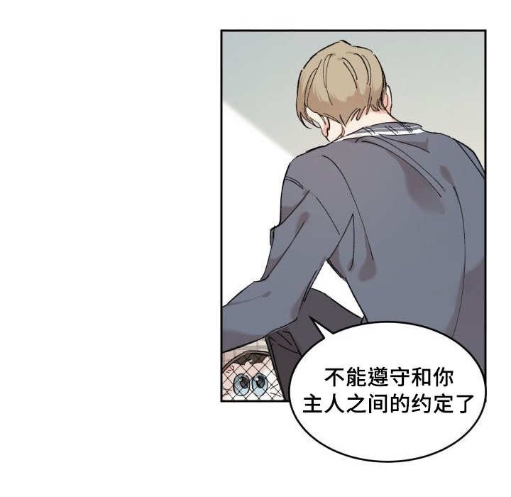 第28章：我能走了吗