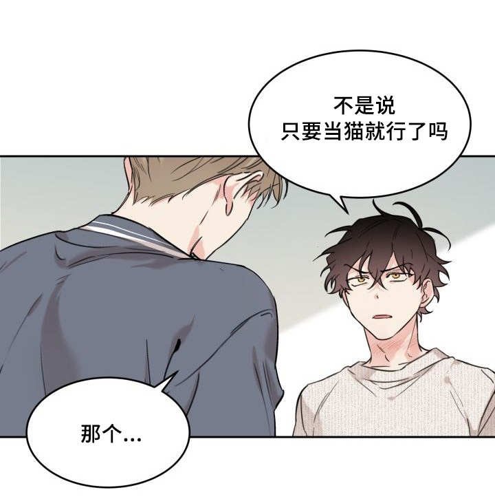 第28章：我能走了吗