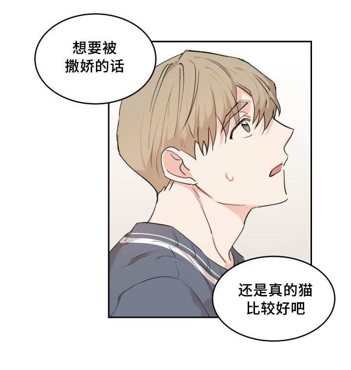 第28章：我能走了吗