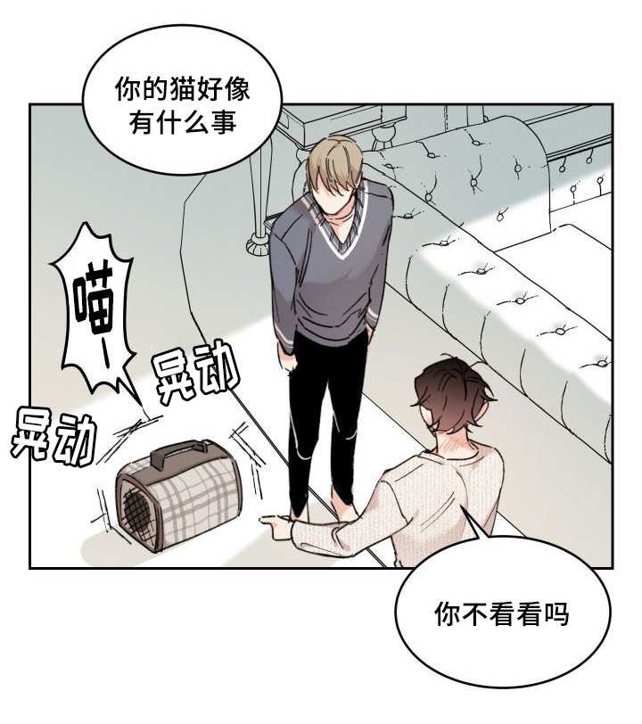 第28章：我能走了吗