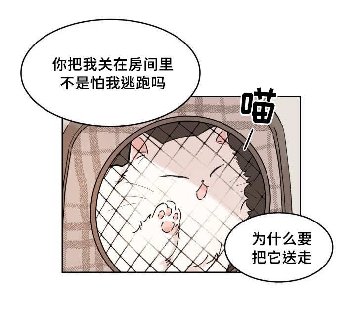 第28章：我能走了吗