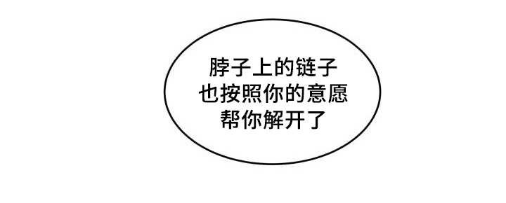 第29章：爱情的原因