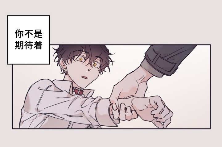 第29章：爱情的原因