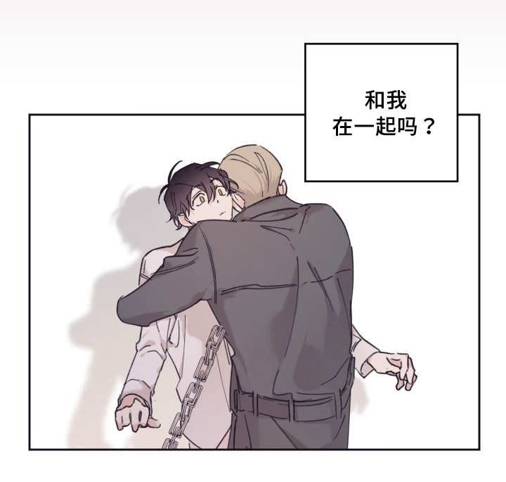 第29章：爱情的原因