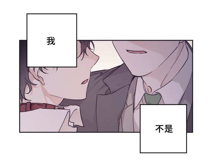 第29章：爱情的原因