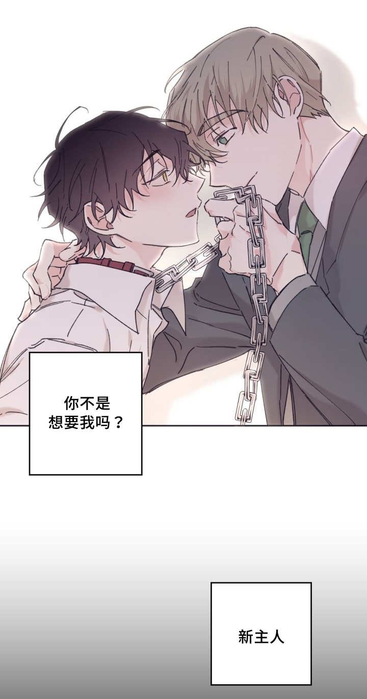 第29章：爱情的原因