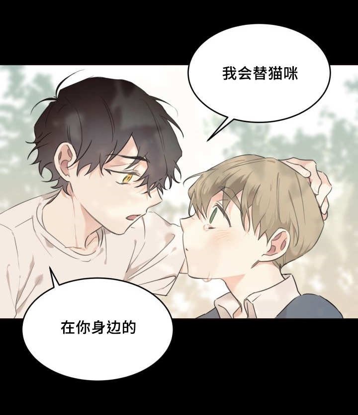 第29章：爱情的原因