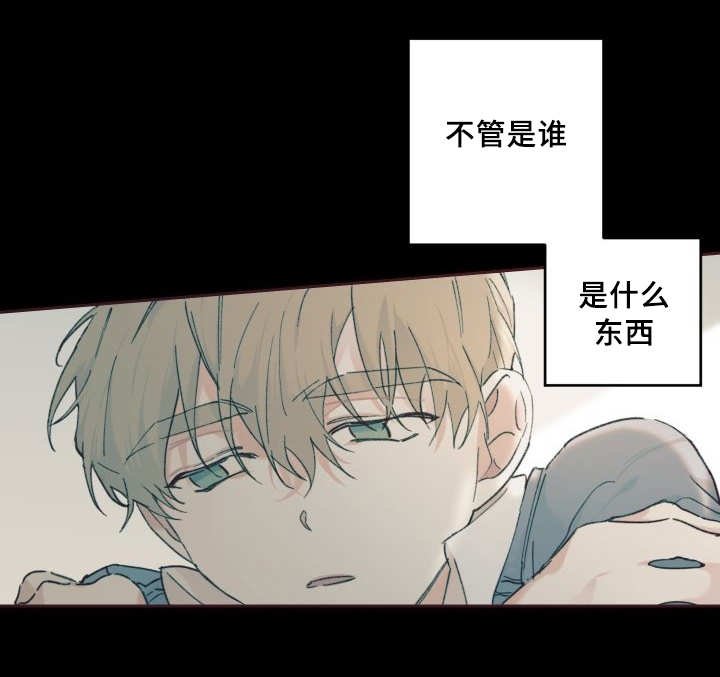 第29章：爱情的原因