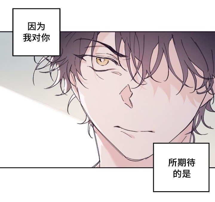 第29章：爱情的原因