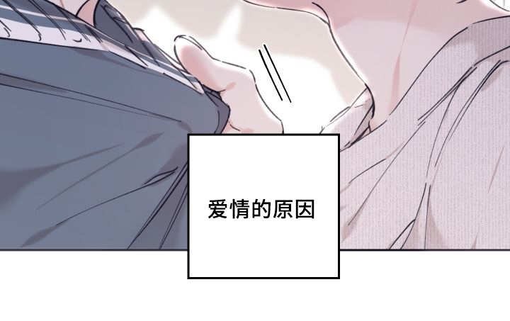 第29章：爱情的原因
