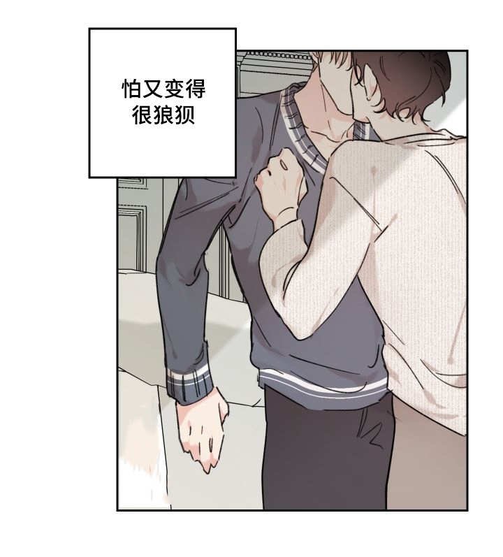 第29章：爱情的原因