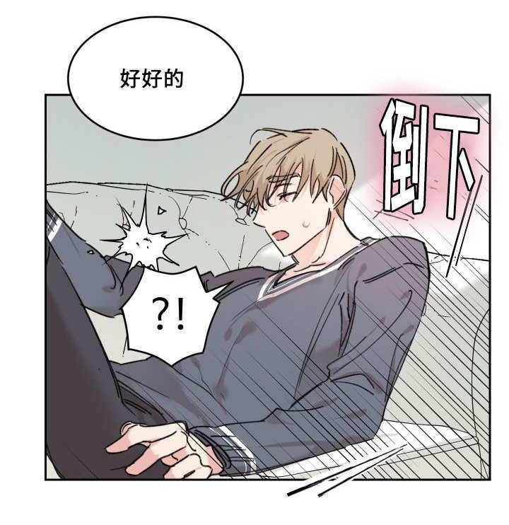 第29章：爱情的原因