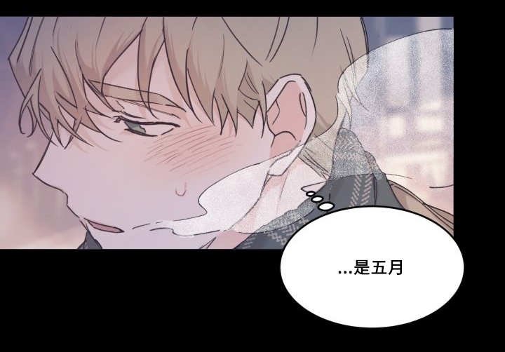 第31章：我来爱你