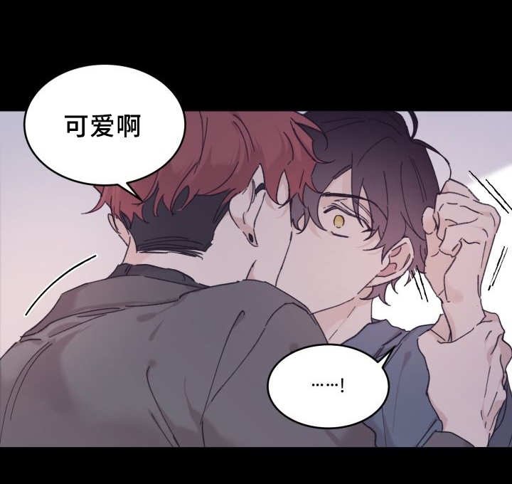 第31章：我来爱你