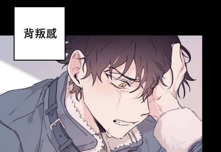 第31章：我来爱你