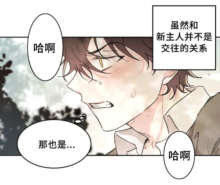 第32章：搞错了什么