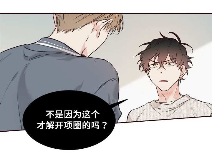 第32章：搞错了什么