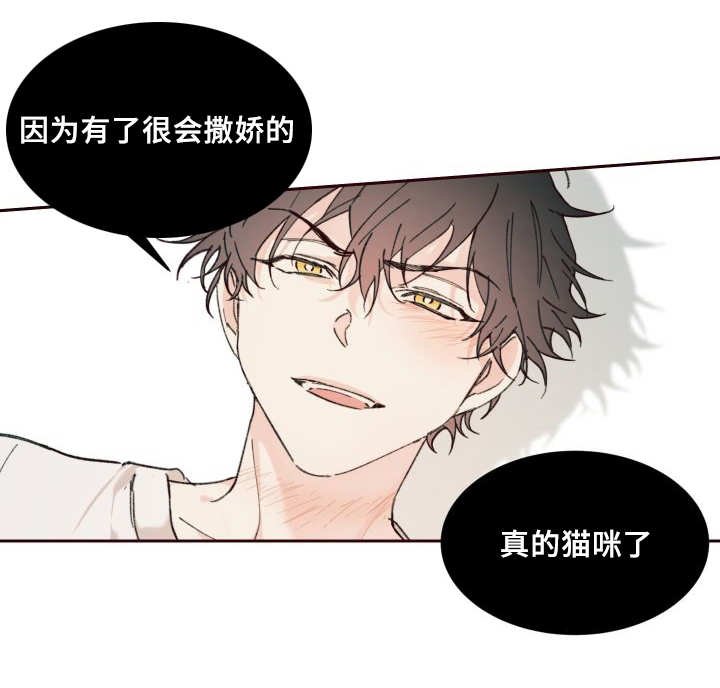 第32章：搞错了什么