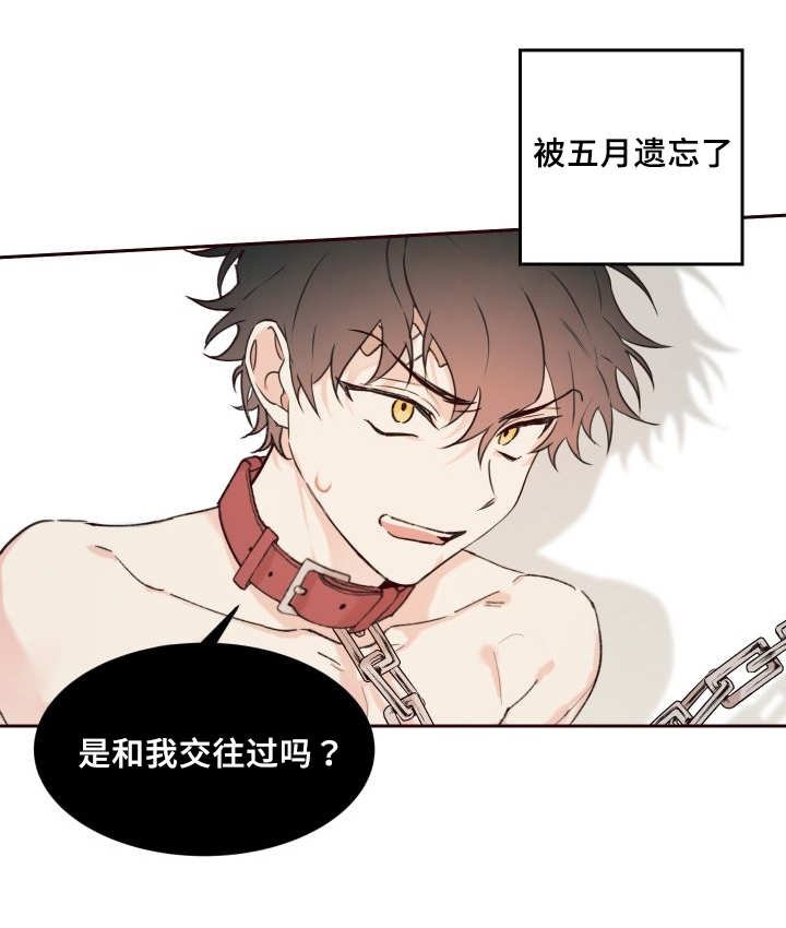 第32章：搞错了什么