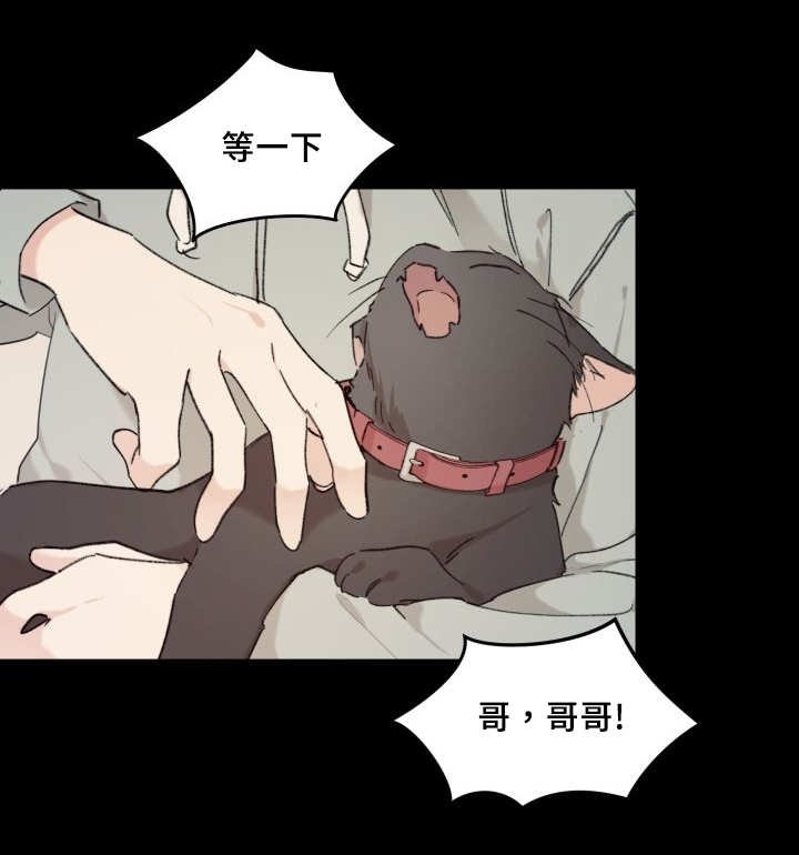 第32章：搞错了什么