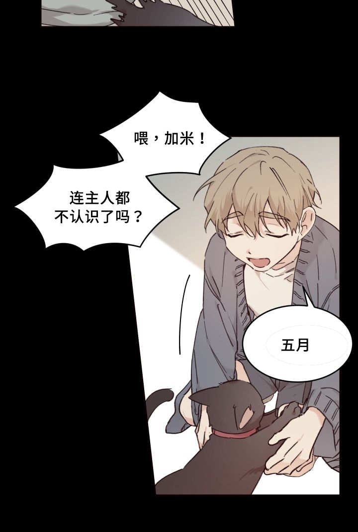 第32章：搞错了什么