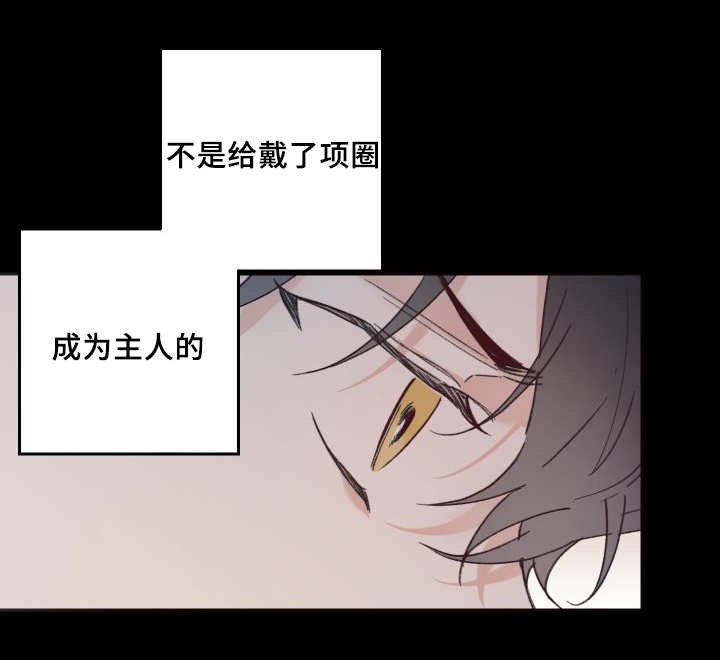 第32章：搞错了什么