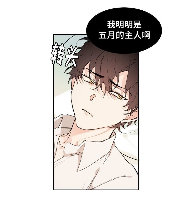 第33章：被谁抢走了